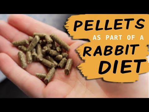 pellet free diet for rabbits