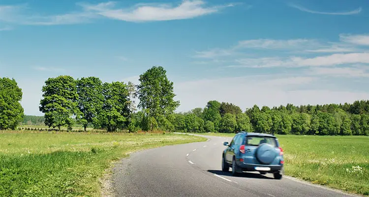 how-to-travel-with-a-guinea-pig-car