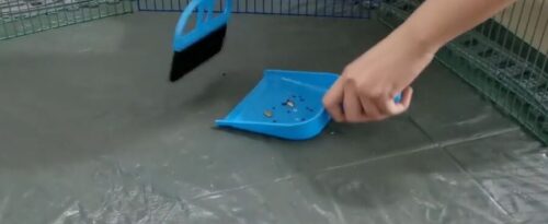 How to Clean Hamster Poop {Healthy & Safety + Easy Cleaning Hacks ... - Hamster Sneezeless Cleaning
