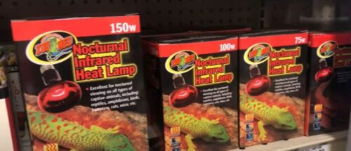 Anole Heat Lamp Distance Guidelines Reference: Do Anoles Need A Heat Lamp 5 Ways Anoles Regulate